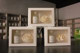 Newly Designed Glass Bottle Home Fragrance, Reed Diffuser (JSD-K0016)