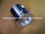 High Quality Piston of Cummins Diesel Engine in Stocks