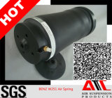Factory Offer Auto Parts Airbag Mercedes W251 Rear Shock Absorber