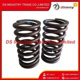 Cummins Engine Spare Parts Valve Spring Nt855 3629006