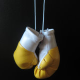 Boxing Gloves Room/Car Air Freshener