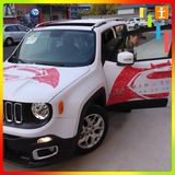 Car Vinyl Wrap for Promotion (TJ-XZ-4)
