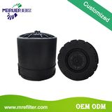 Air Dryer Cartridge Filter for Meiruier Volvo Iveco 4324102227 T350W 20773824