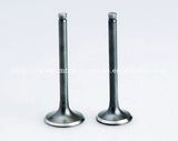 Motorcycle Inlet and Exhaust Valve for Gy6