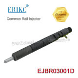 Erikc Common Rail Ejbr0 3001d and Ejbr03001d Delphi Injector Ejb R03001d Diesel Injectors Manufacturers for KIA Model 33801-4X900 2.9L Crdi Pick-up (144bhp)