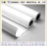 Polymeric Vinyl, PVC Self Adhesive Vinyl, Eco-Solvent Printing