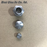 Affordable Latest Auto Valve Assembly in 304 Stainless Steel