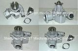 Water Pump 16100-78153-71 16100-78154-71 for 42-5fg18 4y Water Pump Assy