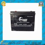 Japan Technology Starting Battery with CE