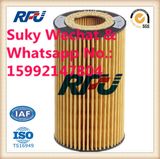 Hengst Oil Filter Auto Parts Used in Mercedes Benz (E11H D57)