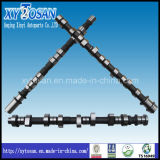 Casting Iron & Forged Steel Camshaft for Diesel & Oil Engine of Mitsubishi Series
