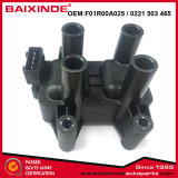0221 503 465 Ignition Coil for PEUGEOT CITROEN FIAT LANCIA F01R00A025 Ignition Module