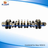 Auto Parts Crankshaft for Steyr Wd618 Wd408 61800020022 612600020233