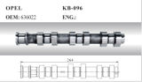 Auto Camshaft for Opel (636022)