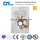 Steel Material O2 N2 Ar High Pressure Regulator for Tanks