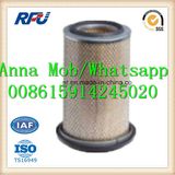 C17225 Air Filter for Mann Mercedes Benz (C17225)