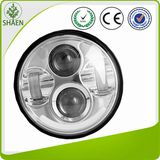 Shaen 5 3/4
