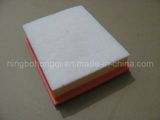 Air Filter 25062072 for Vw, Audi