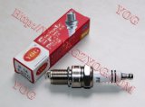 Motorcycle Spare Part Spark Plug F5tc for Ax-100