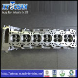 Cylinder Head for Nissan Tb48 (ALL MODELS)