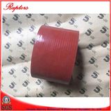 Plain Hose (3067371) for Ccec Engine (Nt855 M11 K19 K38)
