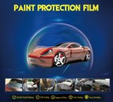 TPU Paint Protection Film for Car Body