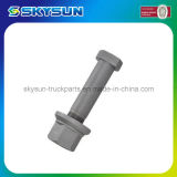 Auto/Truck Part 10.9 Grade Wheel Nut and Bolt for Actros
