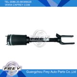 Shock Absorber for Benz X164 Oe: 164 320 61 13