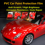 China Best Paint Protection Film for Cars