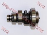 Motorcycle Parts Motorcycle Camshaft Moto Shaft Cam for Fz16