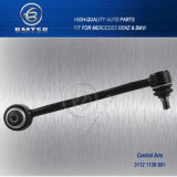 Ts16949 Certificated Good Quality with Competitive Price Control Arm