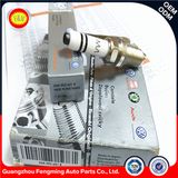 High Quality Auto Lridium OEM Spark Plug 06K905601b for Car