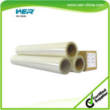China Hot Selling 140g Glossy PVC Self Adhesive Vinyl for Digital Pringing