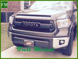 OEM for Toyota Tundra ABS Front Bumper Grill Guard