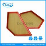 High Quality Mann Air Filter C29150 for Volvo