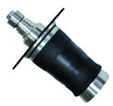 Air Suspension 4z7616051A for Audi A6 Rear
