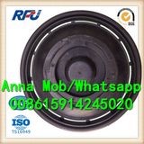 4461492 High Quality Fuel Filter for Perkins Caterpillar