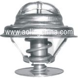 Thermostat (002 203 1675, 110 200 0915)
