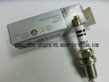 101905631h Auto Parts Shop Iridium Spark Plug for Audi