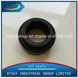 Xtsky Viton Tc Oil Seal (20*32*10)