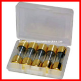 Auto Glass Fuse Tube (quick acting of heavy current) 10X38mm