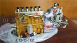 Komatsu Spare Parts Injection Pump (6162-73-1583)