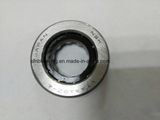 Auto Bearing Vtaa19z-4 19*41*12 19bsw02 NSK Bearing for Toyota