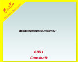 Camshaft for Isuzu Excavator Engine Promotion Best Quality 6bd1