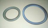 Oil Seal for Diesel Engine Bfm1013, Tcd2013