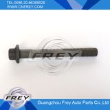 Auto Parts, Cylinder Head Bolt 6119900322 for Mercedes Benz