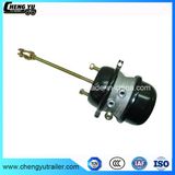 Professional Manufacturer of Brake Chamber T3030dp for Trailer