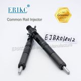 Diesel Injector Ejbr01801z Delphi Fuel Nozzle Ejb R01801z Spray Ejbr0 1801z for Renault 8200049873