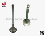 Sinotruk HOWO Spare Parts Engine Parts Intake Valve (Vg1540050015)