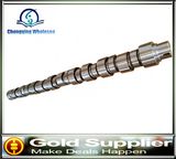 Brand New OEM 23644 0801. Eb 9603104288 for Peugeot Partner Xu7 Xud9 Boxer Diesel 1.9